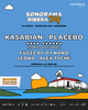 Placebo y Kasabian en Sonorama Ribera Day 
