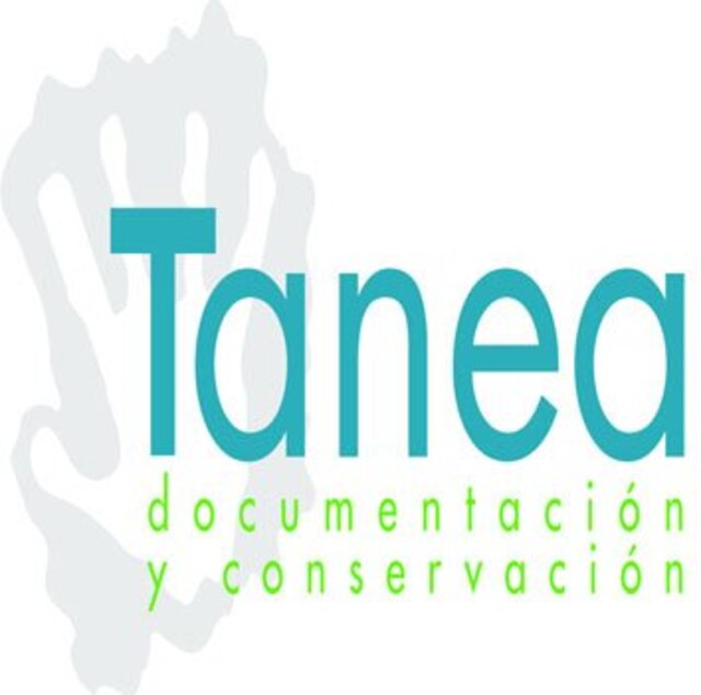 Tanea Arqueología