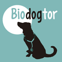 Ven a conocer Biodogtor: cómo detectar el cáncer con el olfato canino