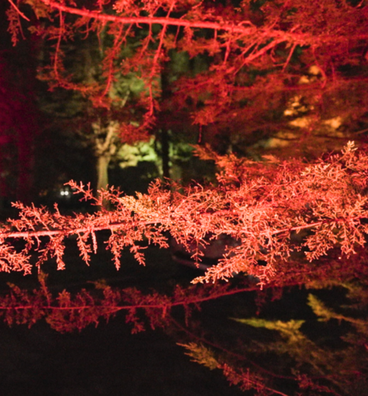 Noche de clausura de El Temporal con una acción sonora de Almost Kollektiv