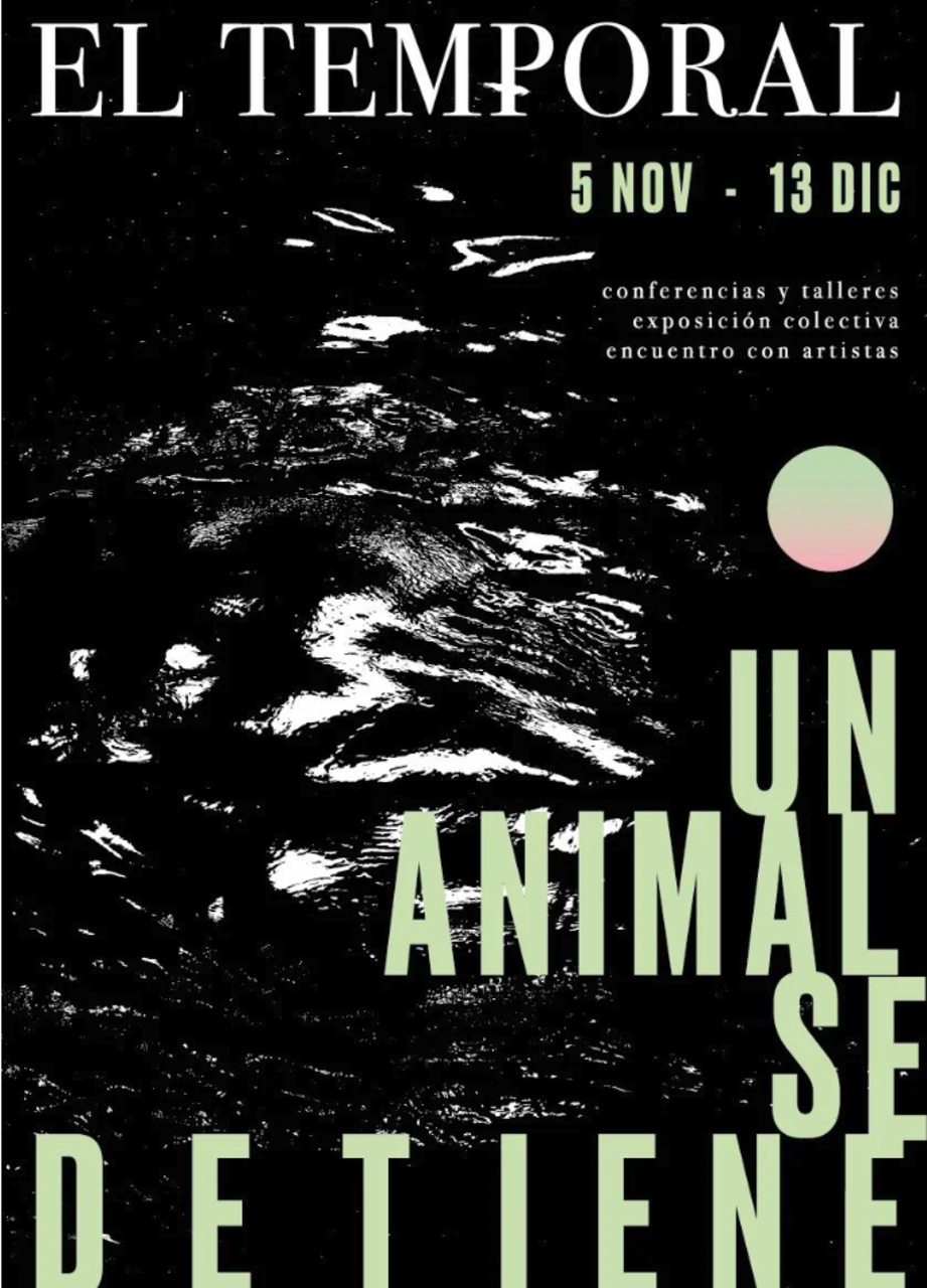 “Trayectorias de lo viviente”, exposición colectiva de El Temporal