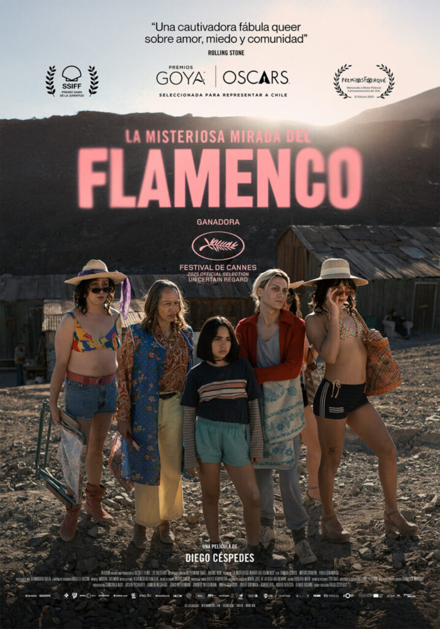 "La misteriosa mirada del flamenco", de Diego Céspedes