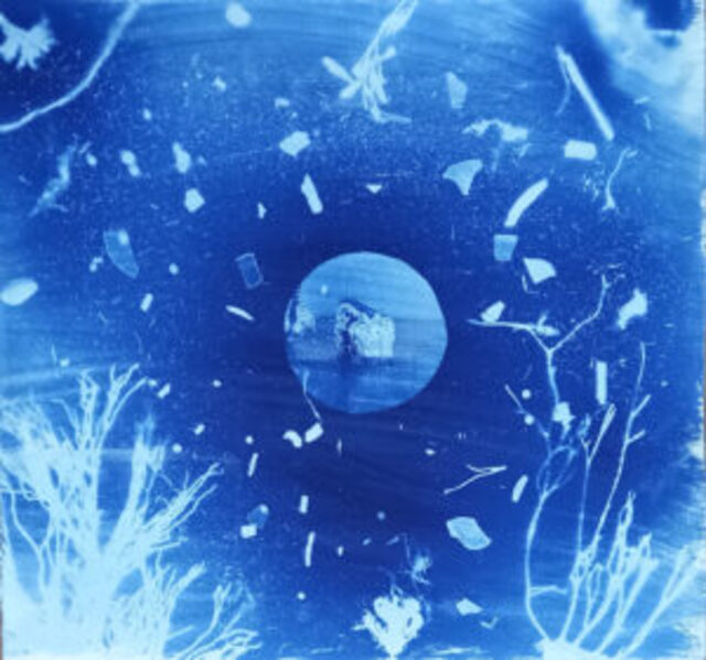 "De Anna Atkins al siglo XXI". Photoencuentro con Tamara García