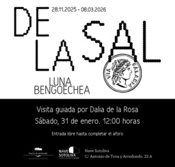 Visita guiada a la exposición "De la sal" con Dalia de la Rosa