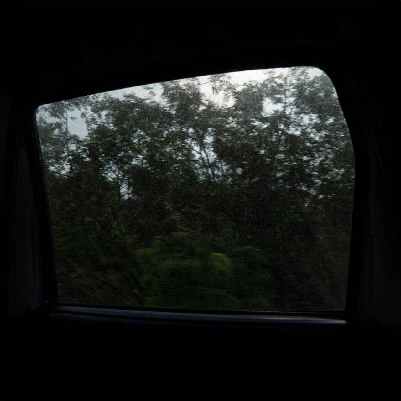 Bernal presenta "Vida y milagros", junto a Las Yhadys