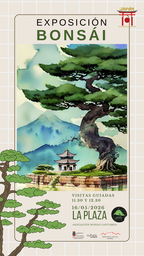 Exposición de bonsáis con visitas guiadas