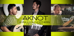 AKNOT, Adra Karim Northern Organ Trío