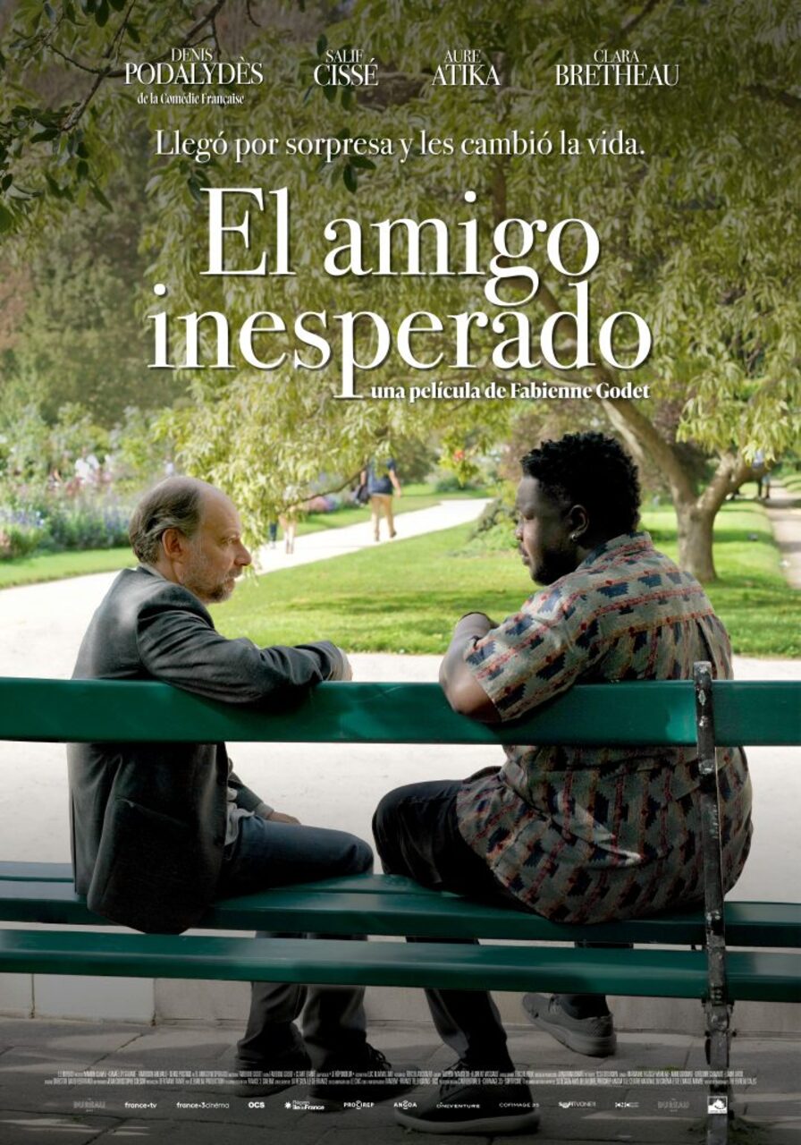 "El amigo inesperado", de Fabienne Godet
