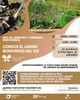 Conoce el jardín biodiverso del CIS