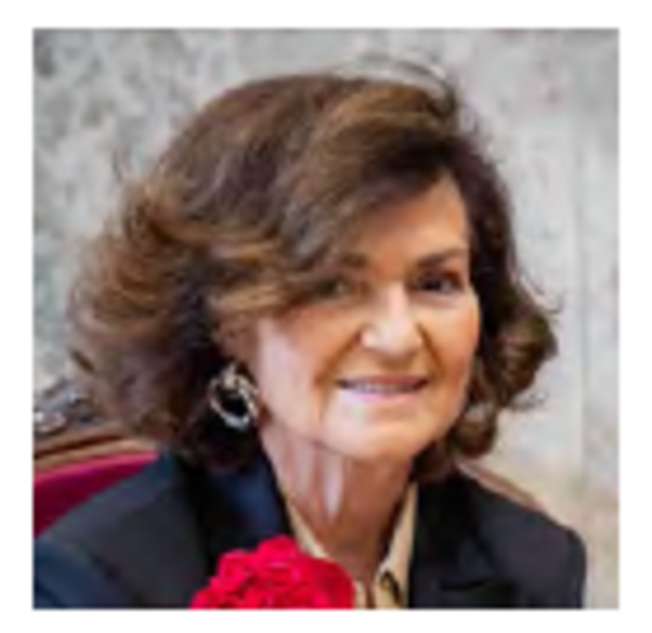 Referentes en femenino singular: Carmen Calvo