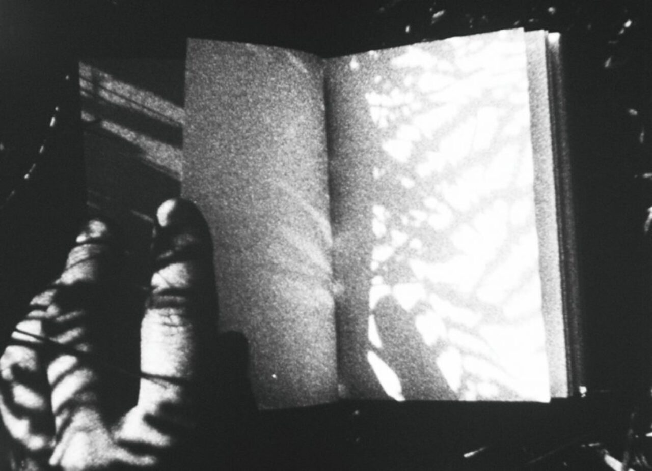 «Archipiélago 16»: Guy Sherwin: Films (1977-1983) (1995-2004)