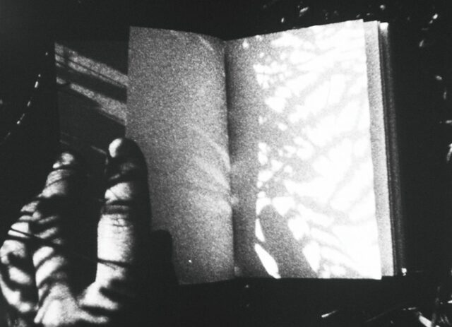 «Archipiélago 16»: Guy Sherwin: Films (1977-1983) (1995-2004)