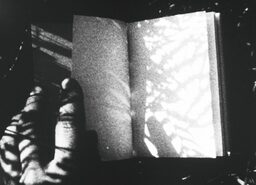 «Archipiélago 16»: Guy Sherwin: Films (1977-1983) (1995-2004)