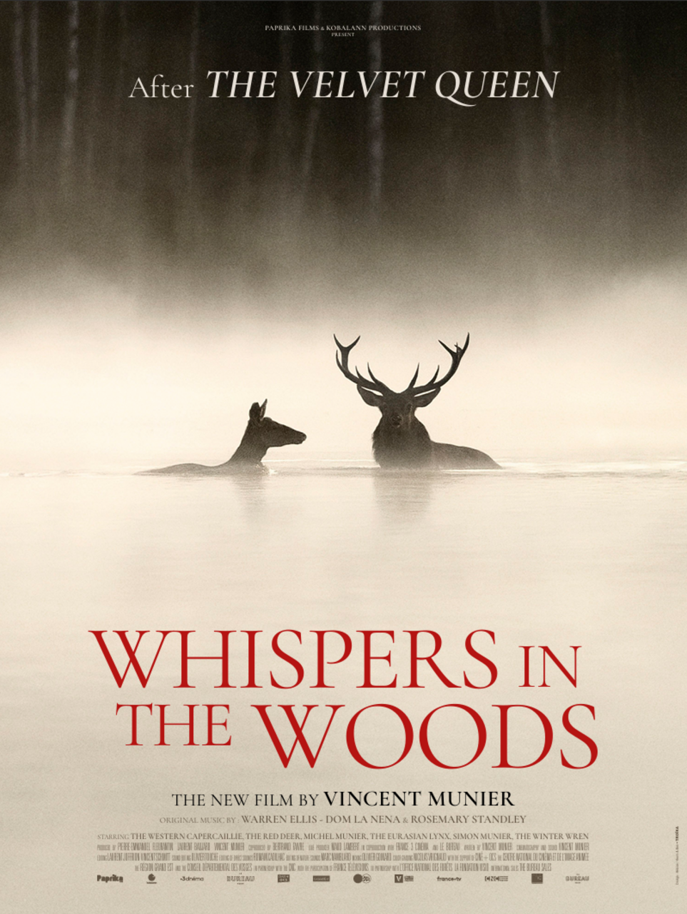 Pajareros 2026: "El Canto de los Bosques", de Vincent Munier