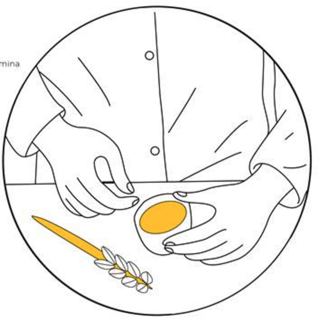 Taller didáctico: "Arqueochef. Saturnalia romana: dulces para los dioses"