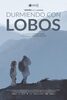 "Durmiendo con lobos", de Andoni Canela