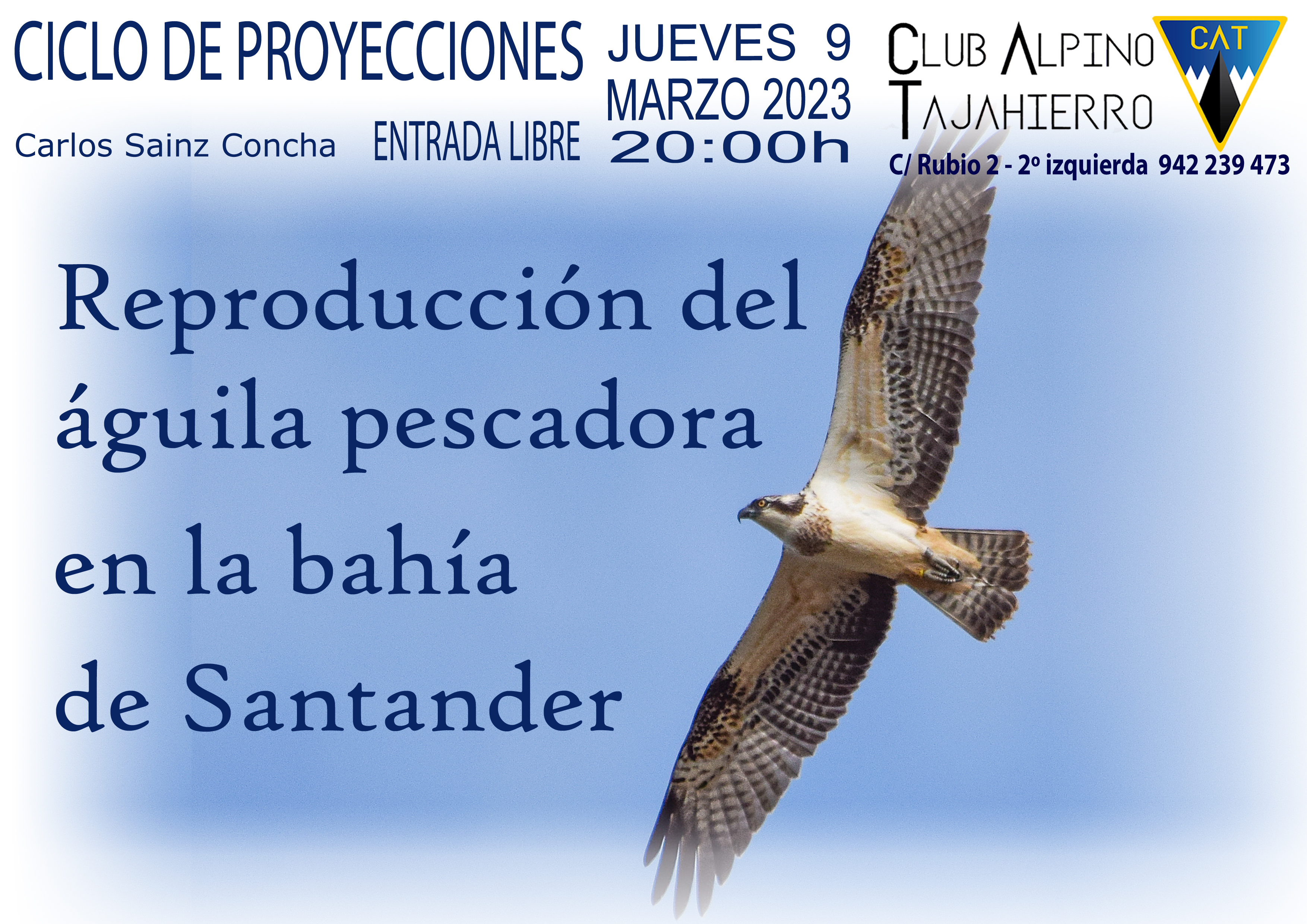 Reproducción del águila pescadora en la Bahía de Santander