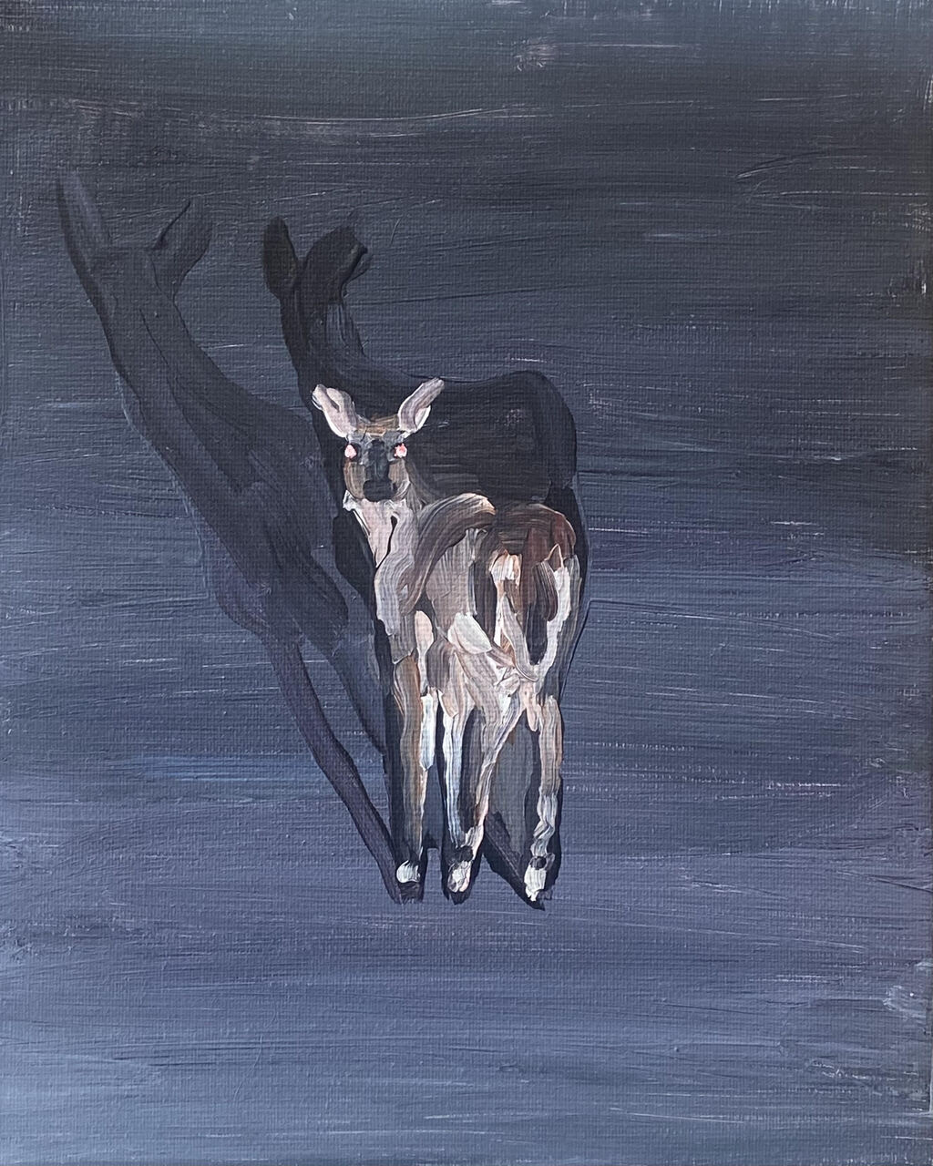 “Trayectorias de lo viviente”: fotografía, artes plásticas, cine y literatura en la exposición colectiva de El Temporal